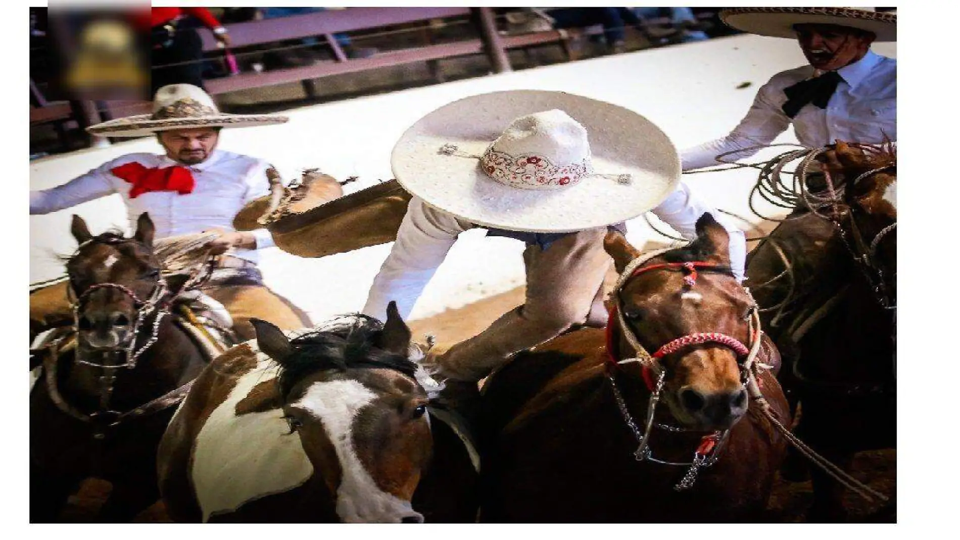 CHARROS (4)